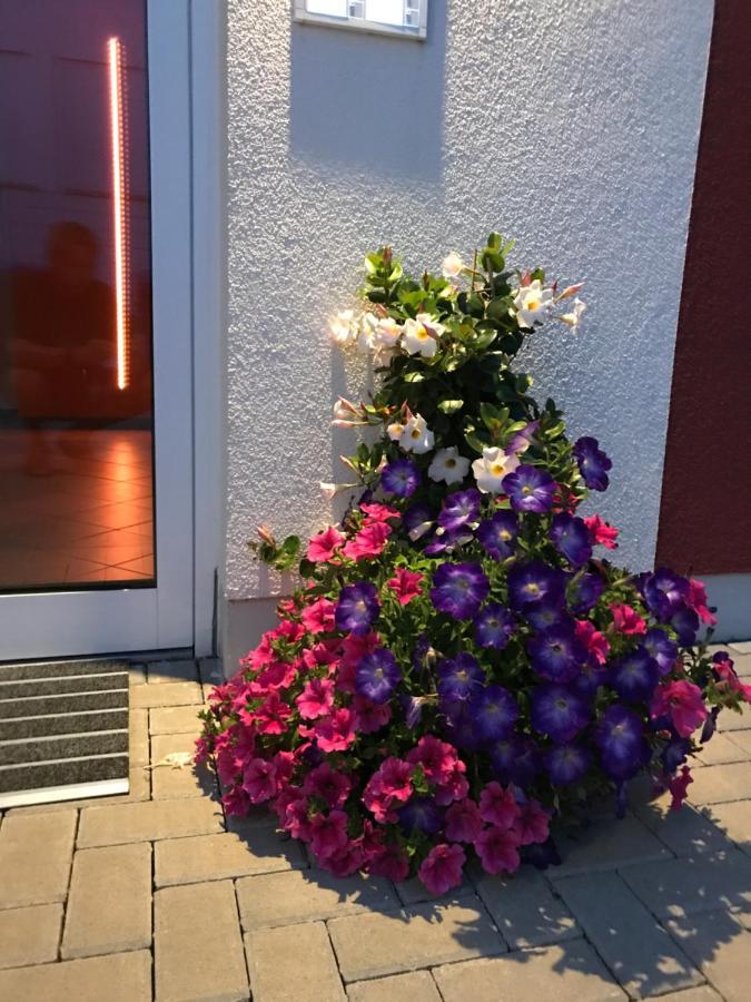 Ferienwohnungen Am Feldrain - Gornau Im Erzgebirge Zschopau Dış mekan fotoğraf