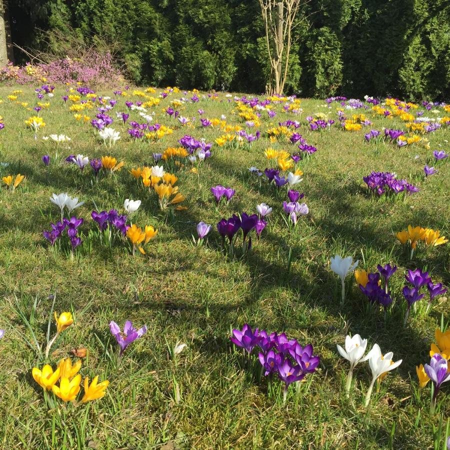 Ferienwohnungen Am Feldrain - Gornau Im Erzgebirge Zschopau Dış mekan fotoğraf